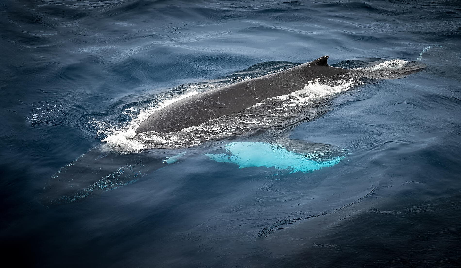 L'Islande avec Beethoven 