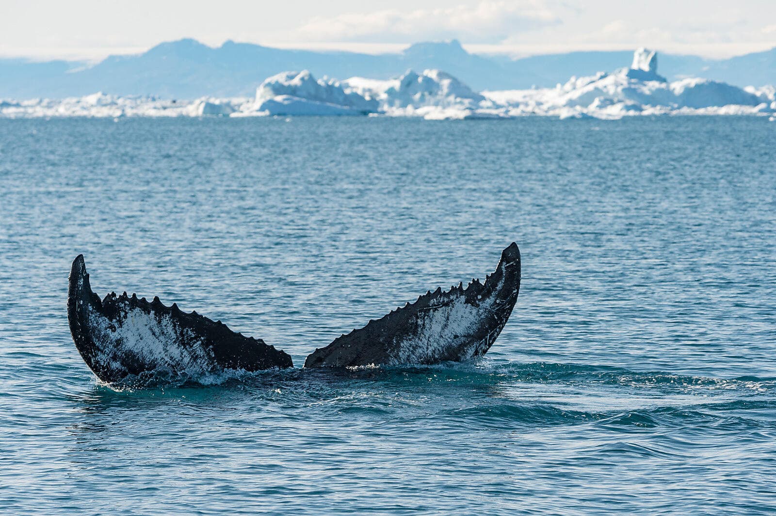 Au cœur du passage du Nord-Ouest ©StudioPONANT-Laurence Fischer
