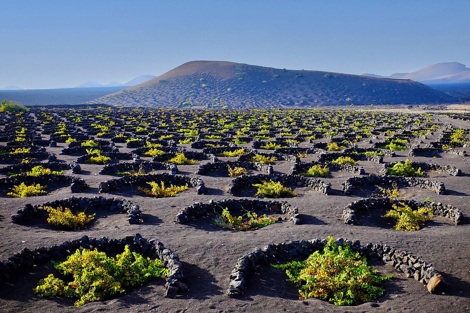 Odyssée atlantique des Canaries à la péninsule ibérique 
