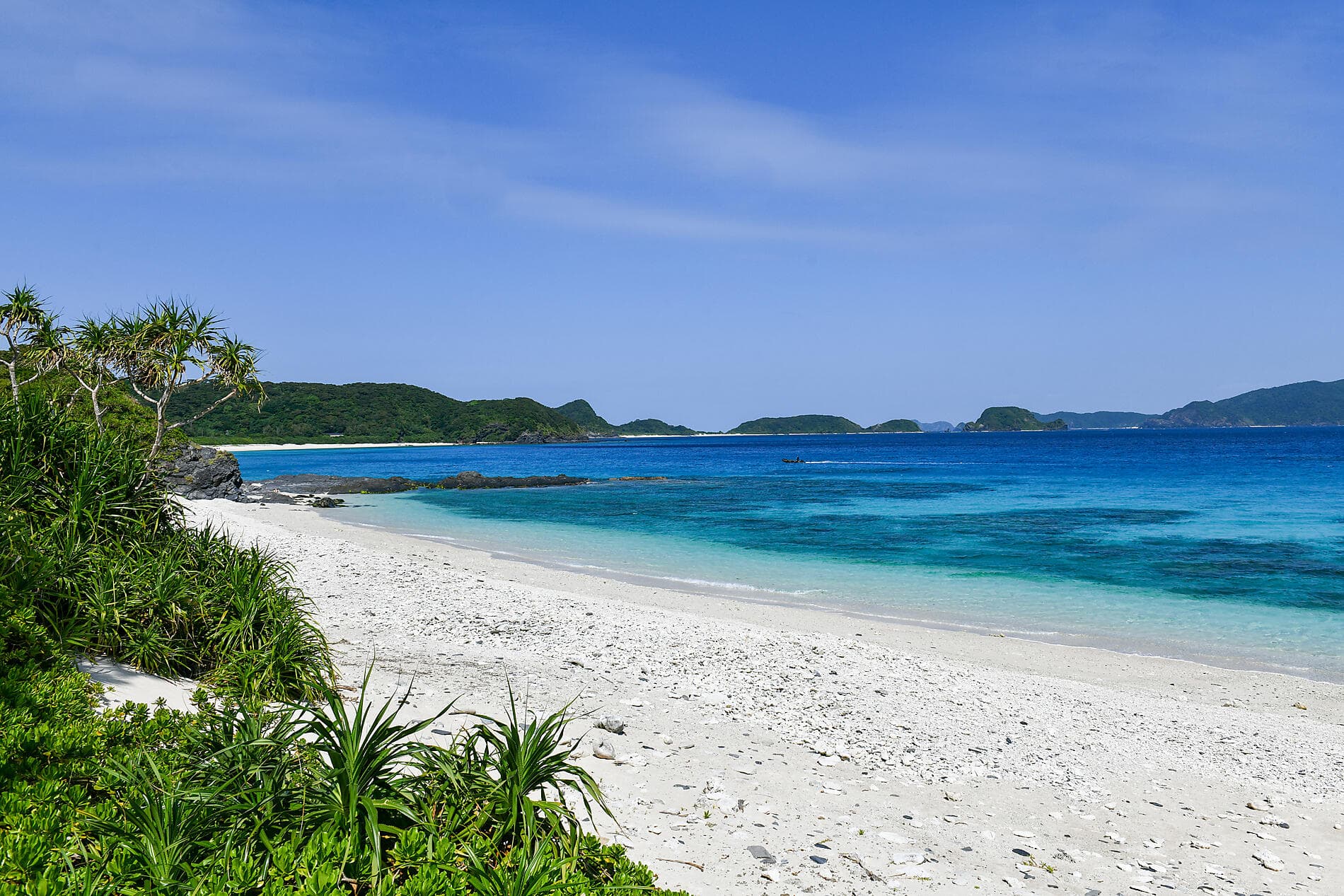 Odyssée au cœur des îles subtropicales du Japon 
