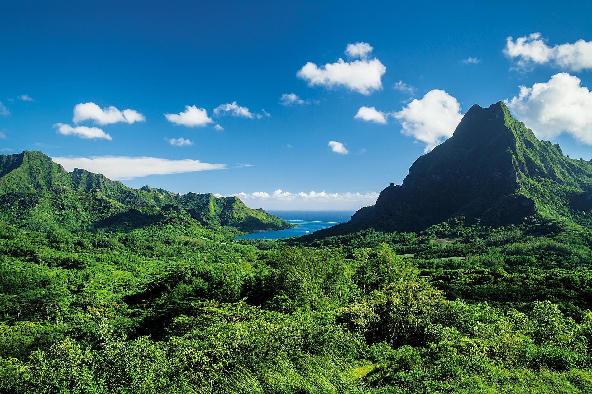 Îles Fidji, Tonga, Cook et îles de la Société 