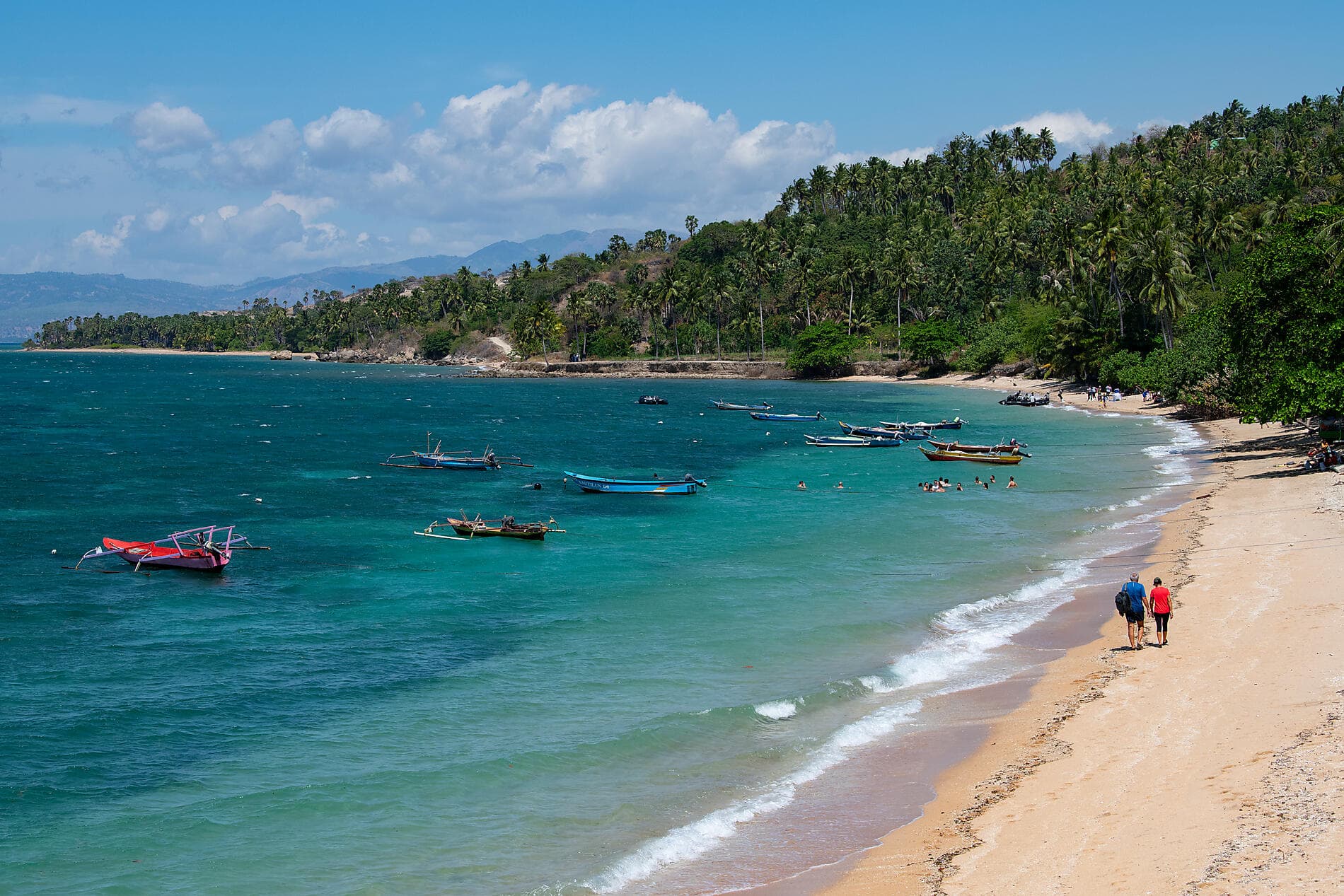 Trésors insulaires d'Indonésie et du Timor Oriental 