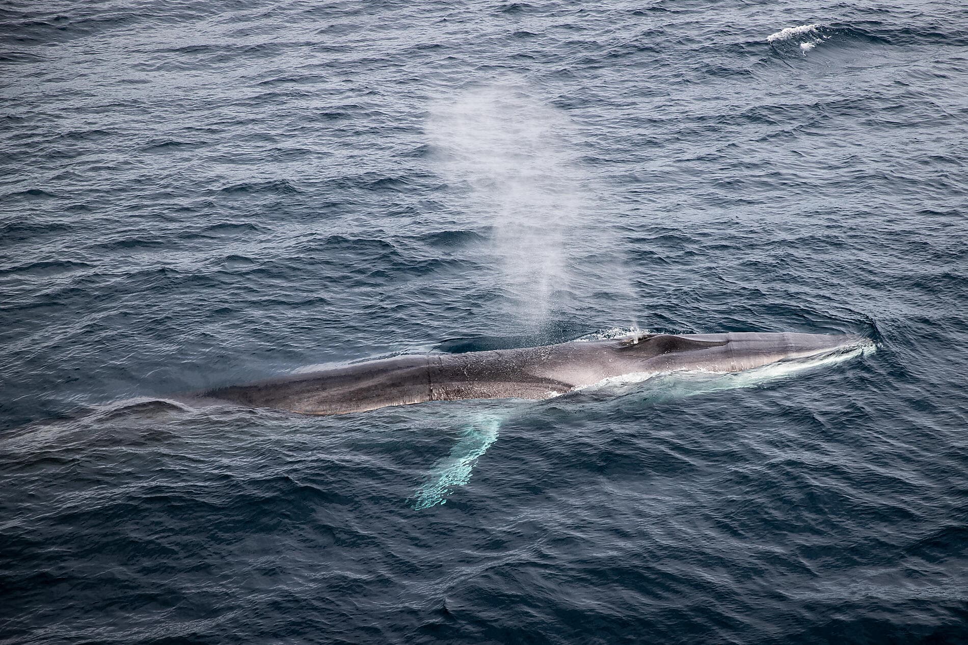 Printemps inuit d'Ammassalik 