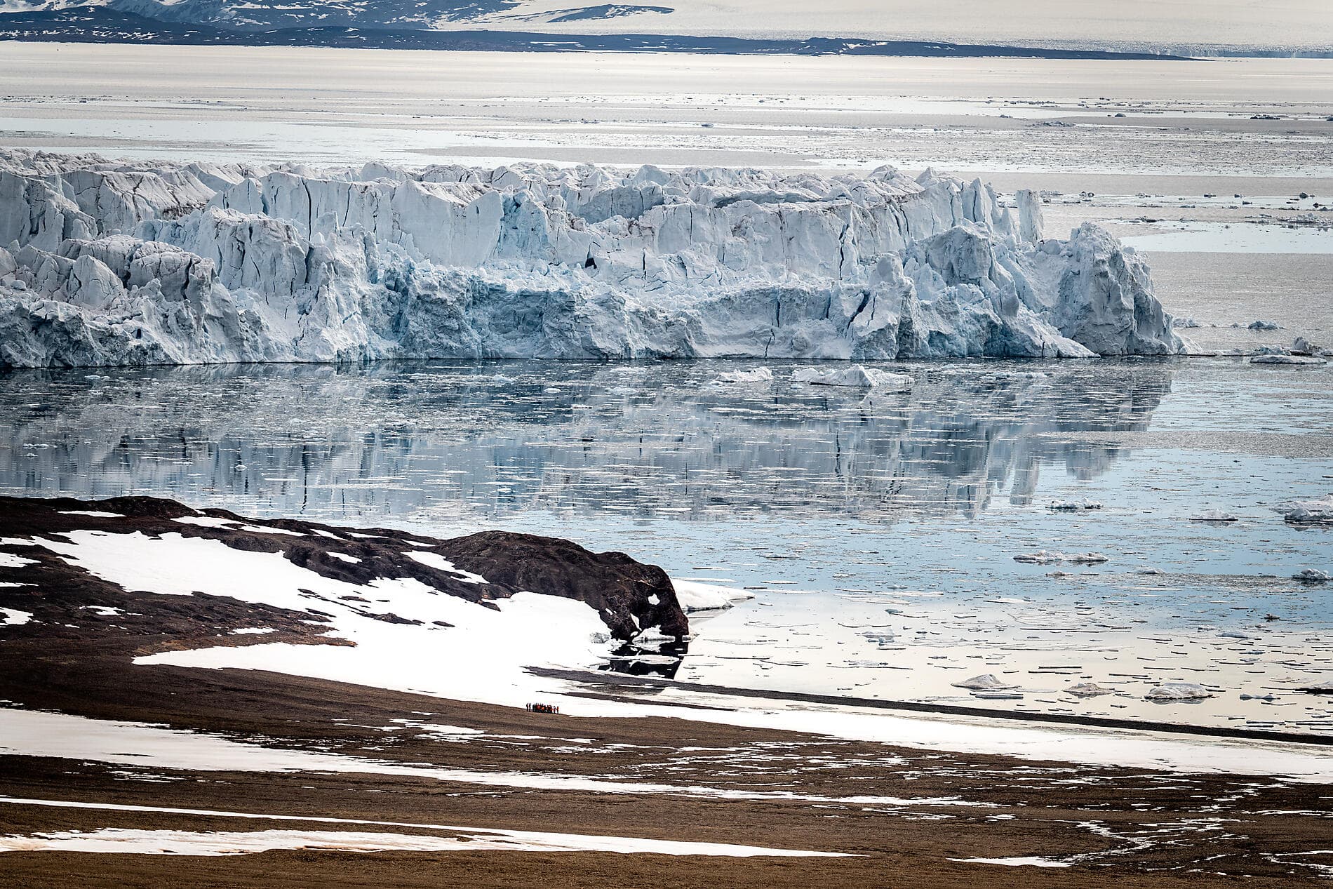 Au cœur des glaces de l'Arctique, du Svalbard au Groenland 