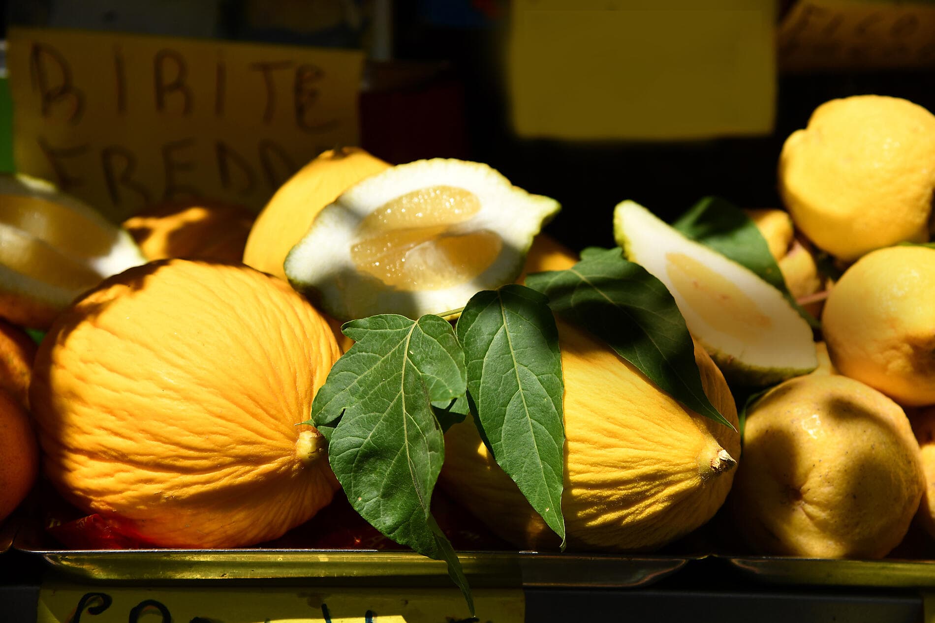 Des rivages ibériques aux côtes italiennes 