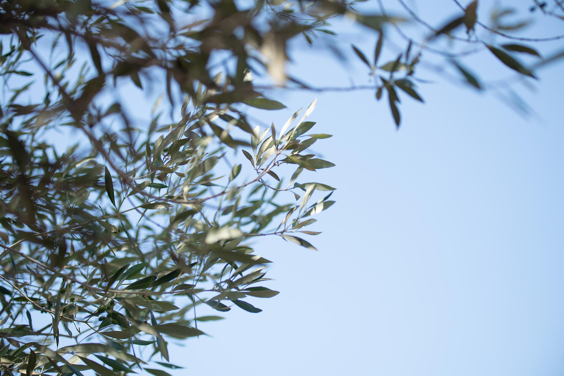 Escapade automnale entre Côte d’Azur, Riviera italienne et Corse  