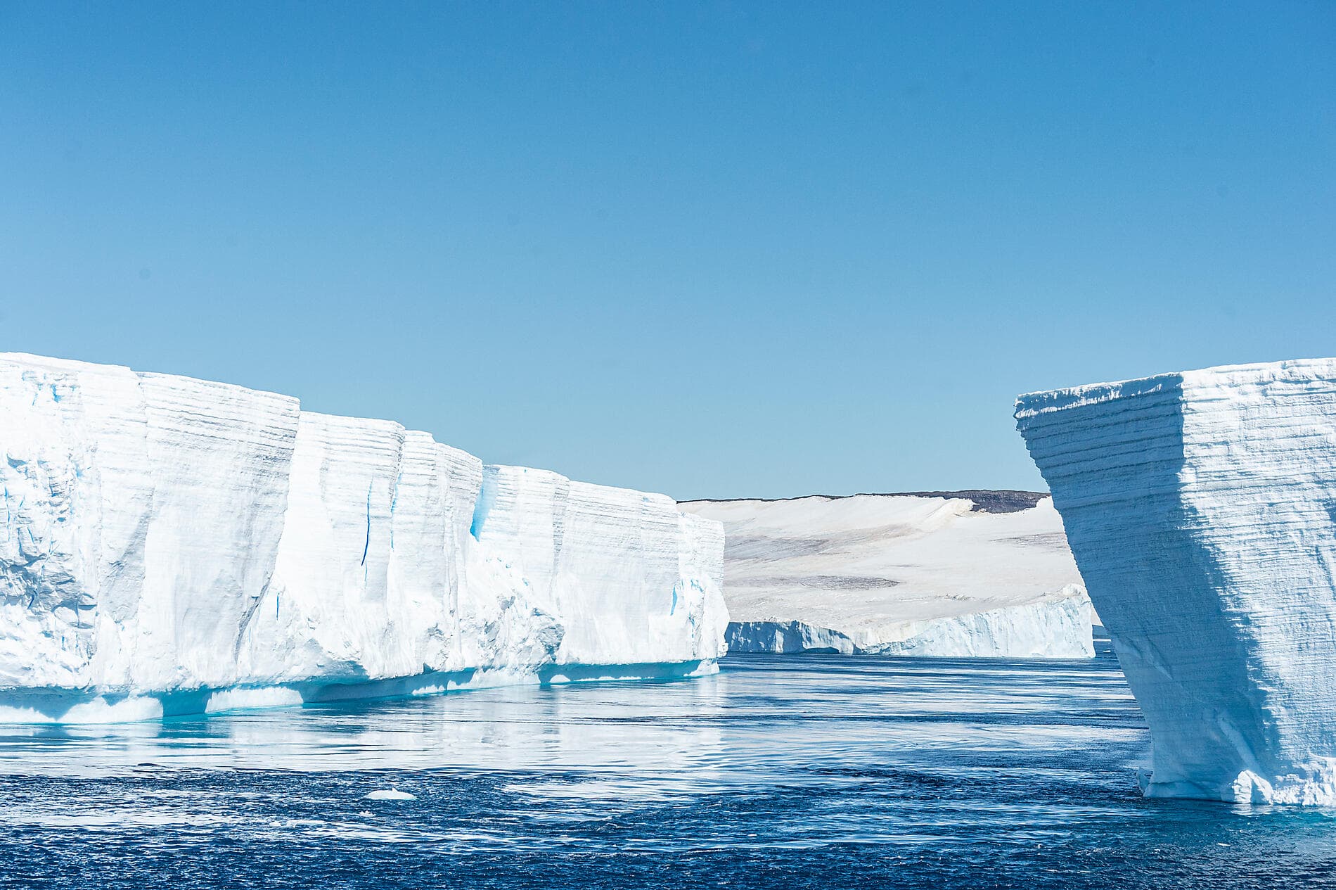 L'Antarctique emblématique  