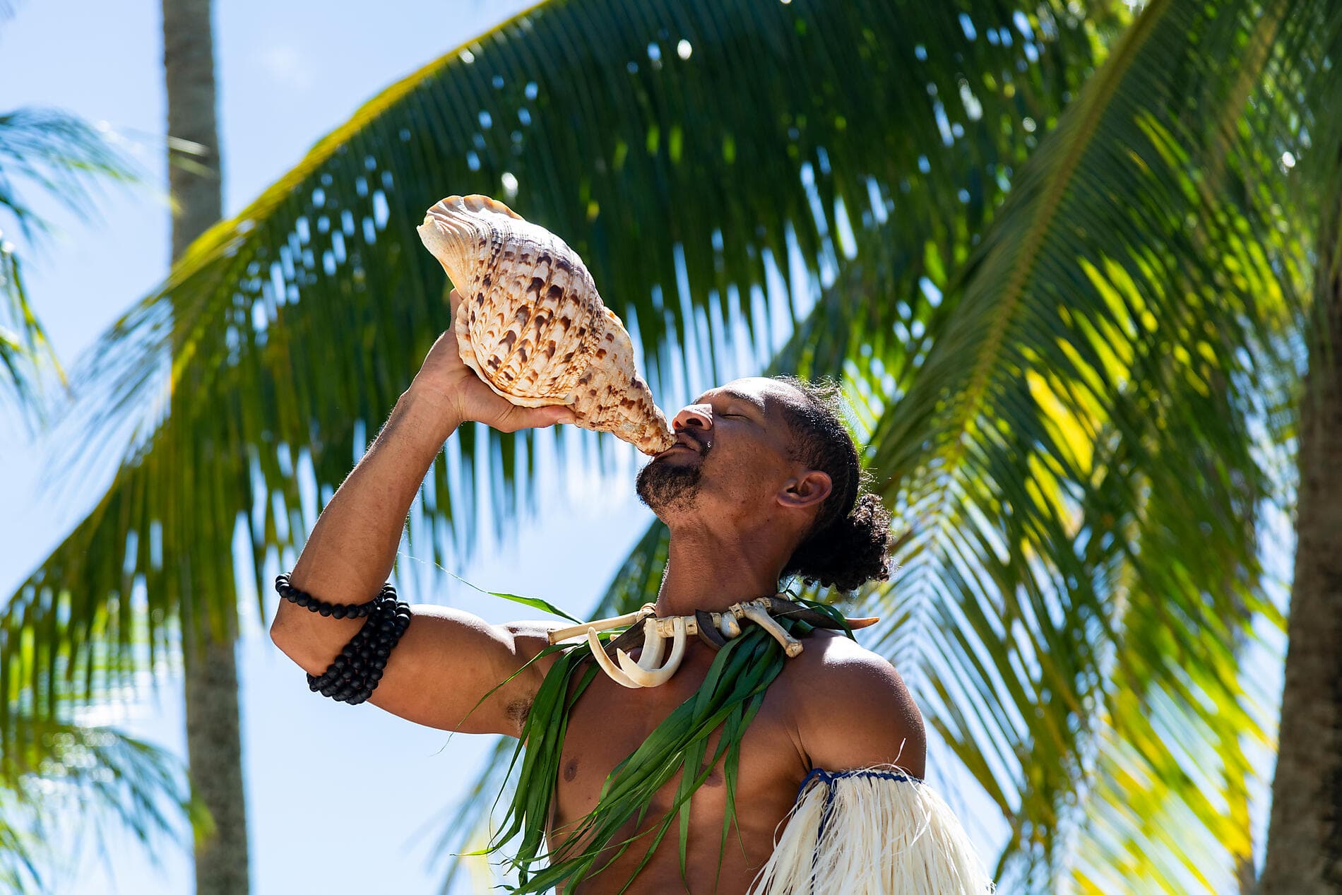 Îles Cook et îles de la Société 