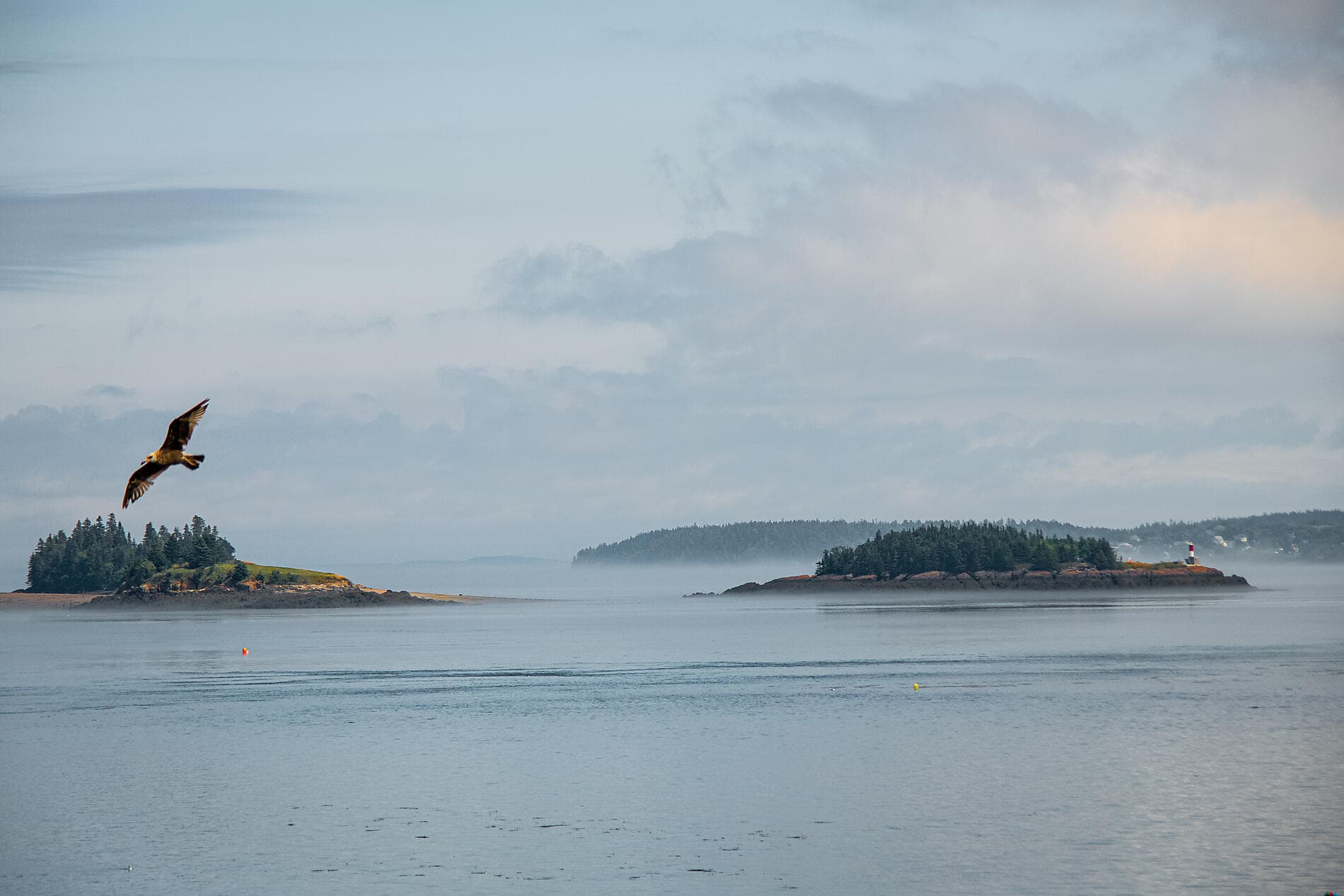 Rivages historiques nord-américains 
