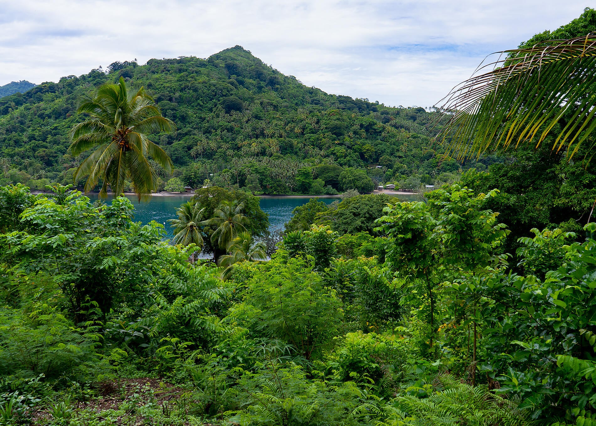 N°-1309_ER070324_Samarai©StudioPONANT-Laure Patricot.jpg