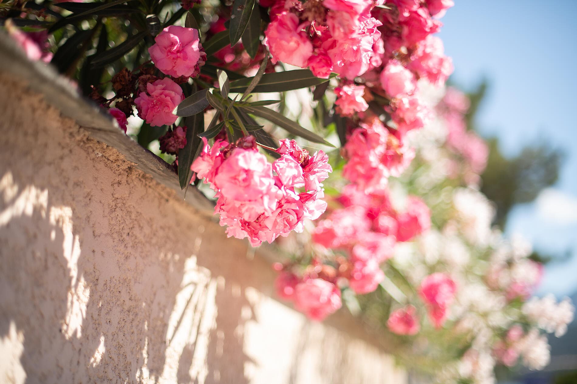 Escapade entre Provence et Catalogne